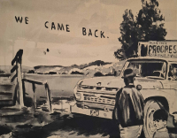 https://www.andreasleikauf.net:443/files/gimgs/th-53_we came back.jpg